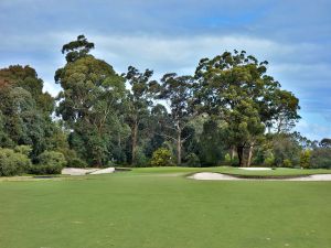 Metropolitan 5th Fairway